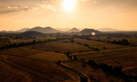 A guerra mexe com o preço da terra?