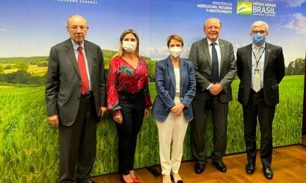 Conflito entre Rússia e Ucrânia reforça a necessidade de ampliar a produção de trigo em solo brasileiro