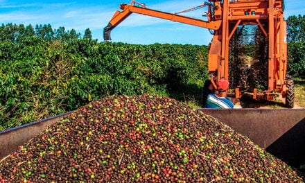 O futuro do campo é das agfintechs