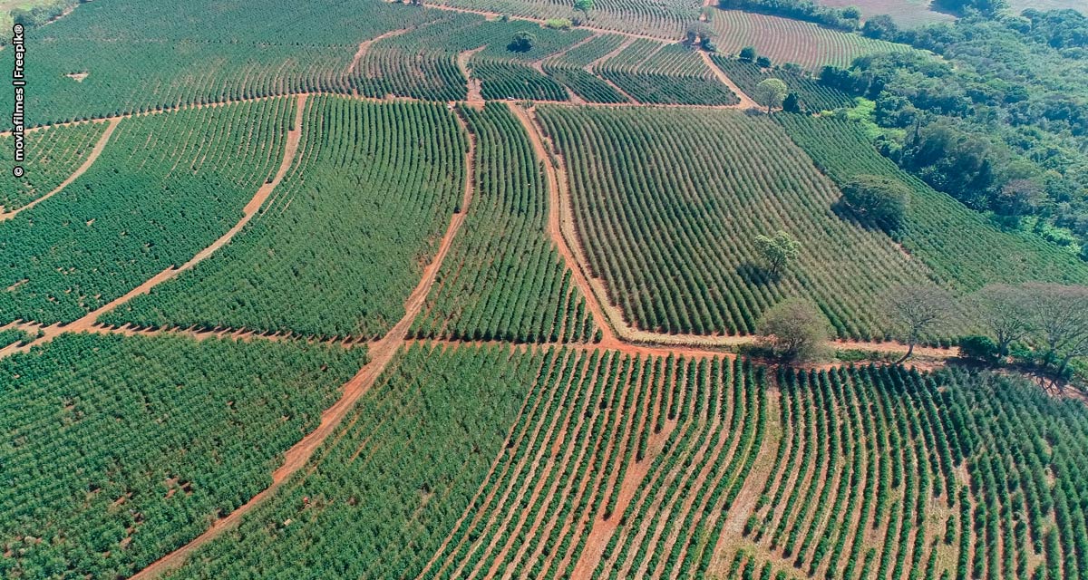 Valor da Produção Agropecuária no Estado de  São Paulo sobe 30% em 2021 e atinge R＄ 121,9 bilhões