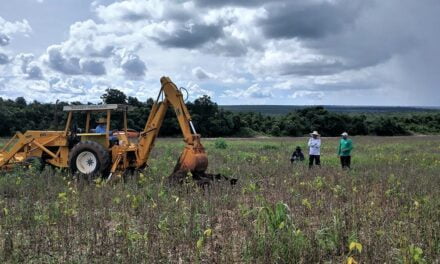 Pesquisa em fazendas de MT compara carbono em áreas protegidas e cultivadas