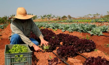 Governo de São Paulo autoriza posse definitiva de terra para agricultores familiares do Estado