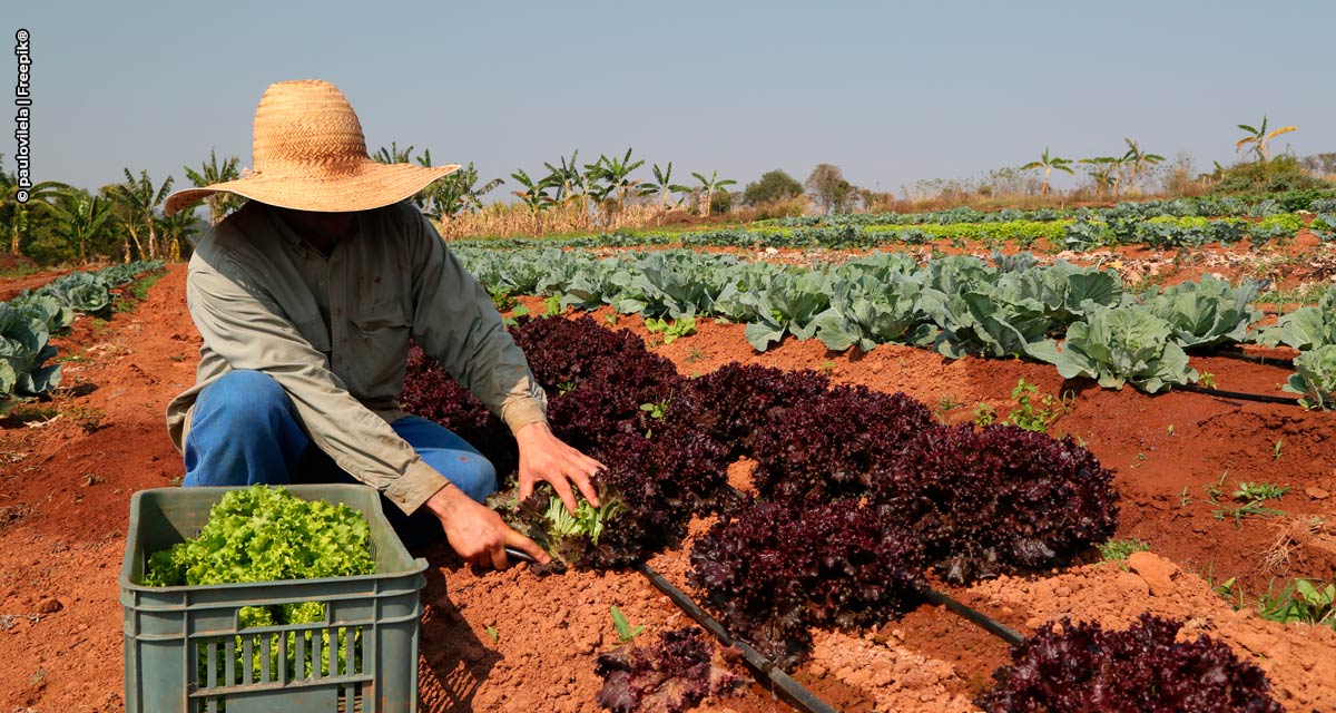 Governo de São Paulo autoriza posse definitiva de terra para agricultores familiares do Estado