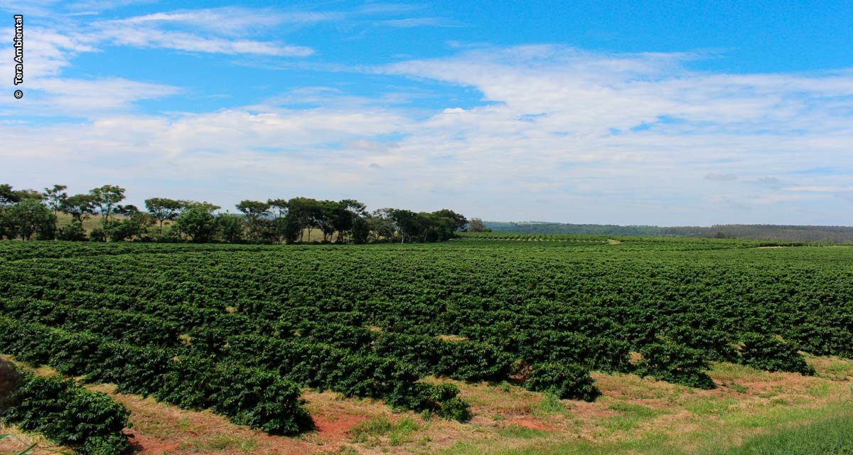 Fertilizantes orgânicos têm papel estratégico para o Brasil com guerra entre Rússia e Ucrânia