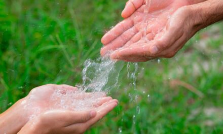 Tera Ambiental destaca importância do Dia Mundial da Água para o Brasil