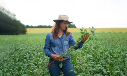 Produtora paranaense mostra que agronegócio também é coisa de mulher