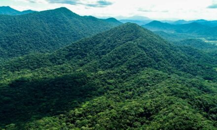 Parque Estadual Carlos Botelho ganha 1.197 hectares de áreas florestais