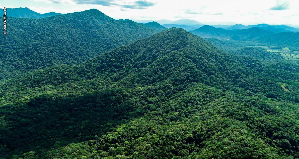 Parque Estadual Carlos Botelho ganha 1.197 hectares de áreas florestais