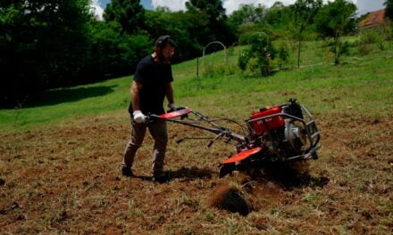 Branco Motores lança linha de tratoritos a diesel na Agrishow 2022