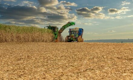 Tecnologias para potencializar o setor sucroenergético