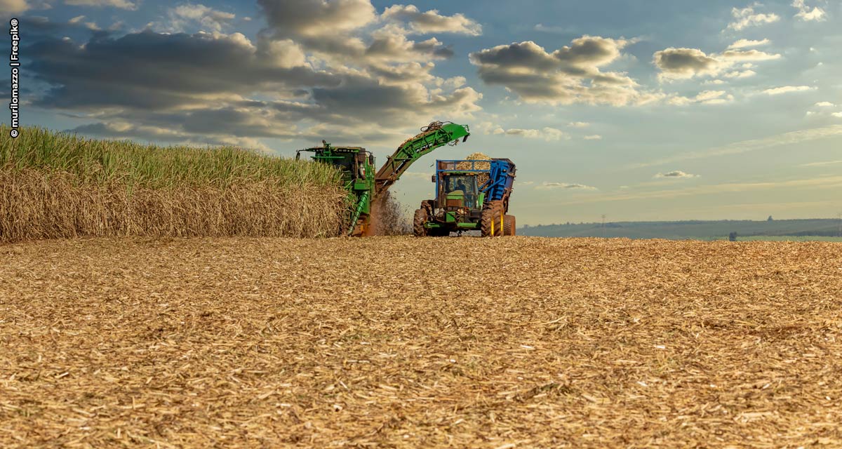 Tecnologias para potencializar o setor sucroenergético