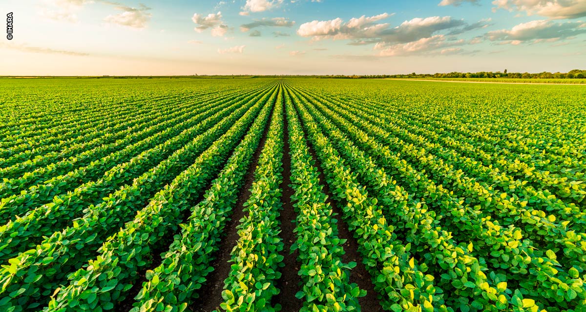 Fungicida Biológico da IHARA, para cultura da soja, resulta em um incremento de 5% da produtividade na safra 21/22