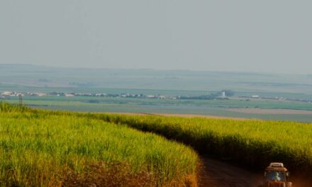 Raízen amplia utilização de resíduos orgânicos nos canaviais e reduz o uso de fertilizantes e emissões de GEE