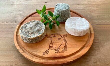 Capril e queijaria Rancho Alegre harmoniza sabor e sustentabilidade em produtos artesanais