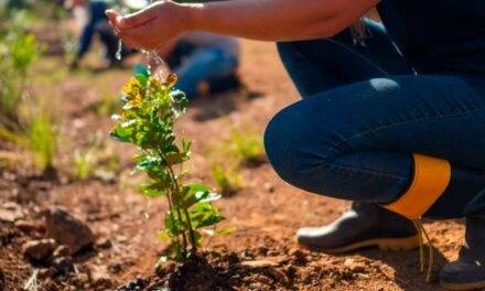 Tetra Pak anuncia projeto para restaurar biodiversidade e mitigar efeitos das mudanças climáticas