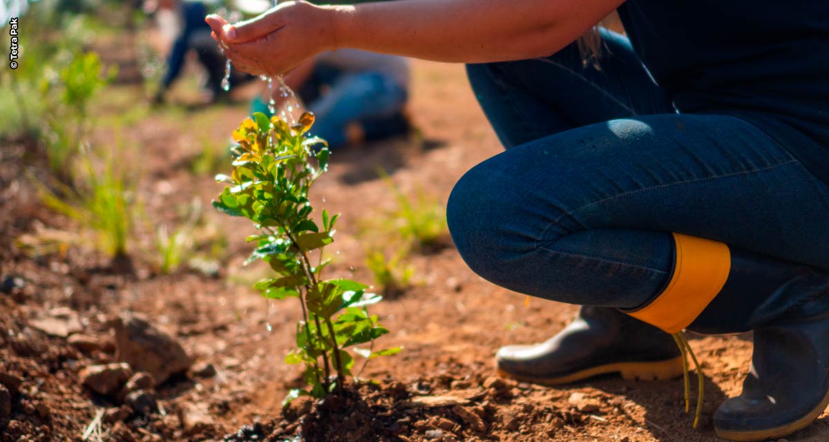 Tetra Pak anuncia projeto para restaurar biodiversidade e mitigar efeitos das mudanças climáticas