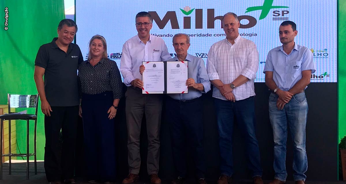 Governo de São Paulo, entidades e empresas do agronegócio lançam Programa Milho+ SP