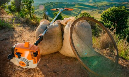 STIHL oferece condições especiais para derriçadores na Expocafé 2022