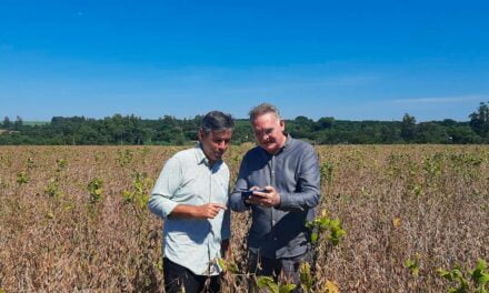 Dia Mundial do Campo é celebrado com solução inovadora, colheitas sem perdas e nutrição ao plantio