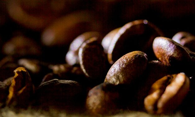 Patenteado método que identifica cafeeiros com teor reduzido de cafeína