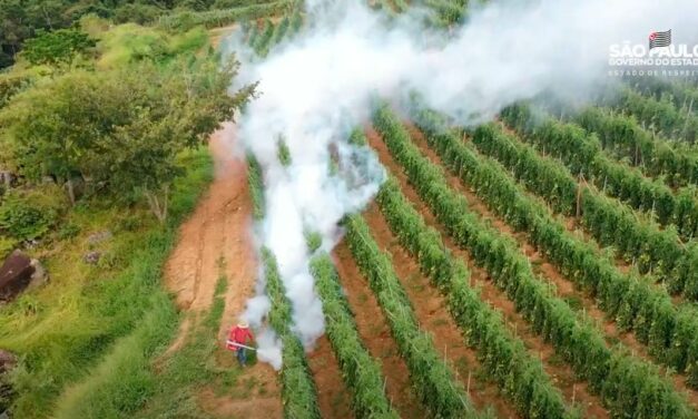 Com previsão de geada, produtores rurais do Estado de São Paulo investem em medidas para proteger suas plantações