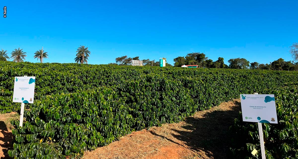 Inaugurado Campo Experimental da Satis em Araxá/MG