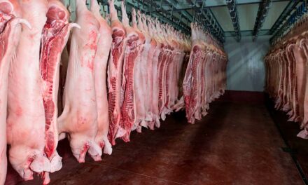 Canadá habilita novas plantas brasileiras de carne suína