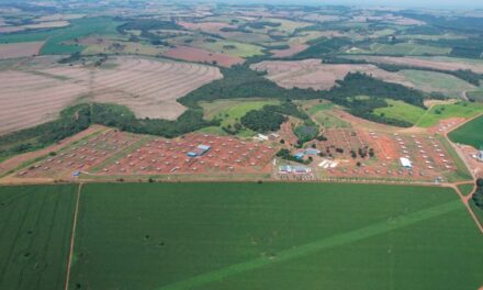 Central Bela Vista atinge a marca de 20 milhões de doses produzidas