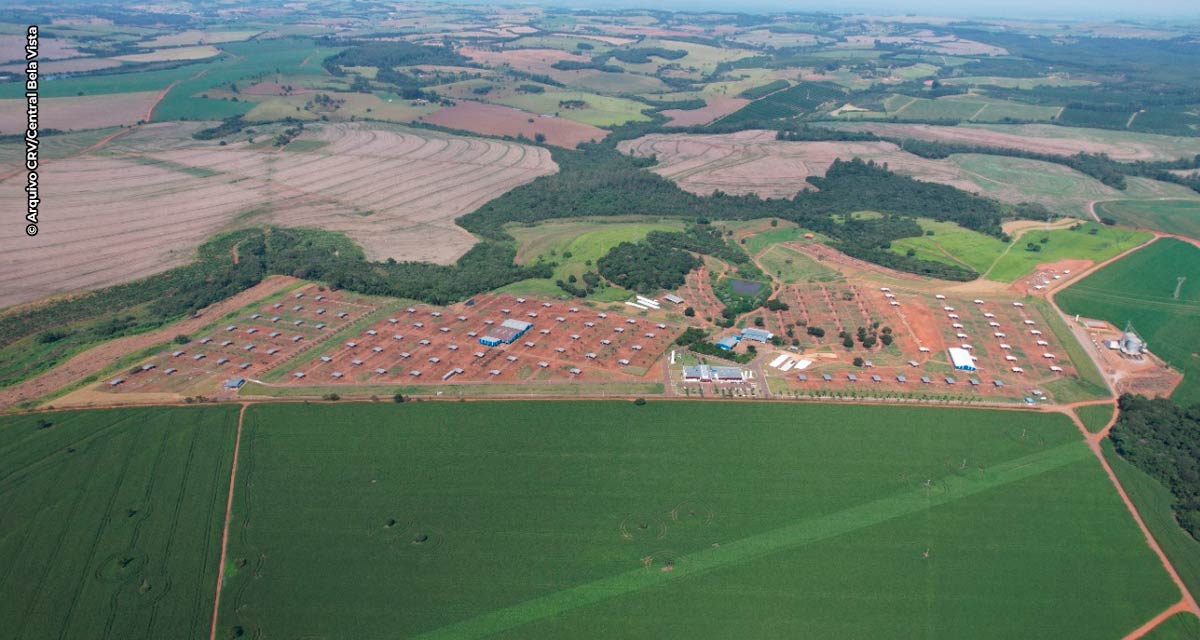 Central Bela Vista atinge a marca de 20 milhões de doses produzidas