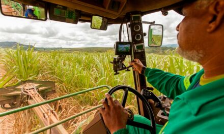 Exportações em alta reforçam agricultura como alavanca para retomada da economia