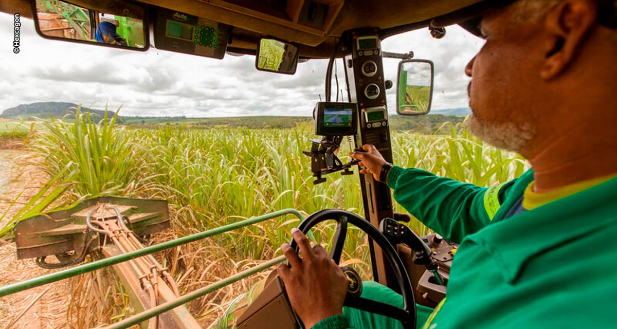 Exportações em alta reforçam agricultura como alavanca para retomada da economia