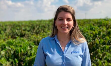 Gotejamento subterrâneo, tecnologia que facilita o dia a dia no campo na produção de café arábica