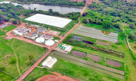 Piracanjuba investe mais de 10 milhões em novos projetos da área ambiental