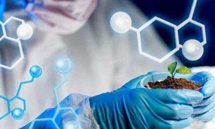Centro de Pesquisa em Genômica para Mudanças Climáticas oferece curso gratuito em biotecnologia vegetal