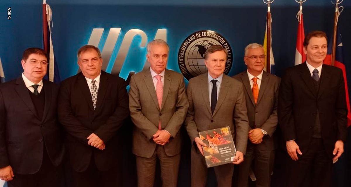 O brasileiro Fernando Camargo assumiu como novo representante do IICA na Argentina