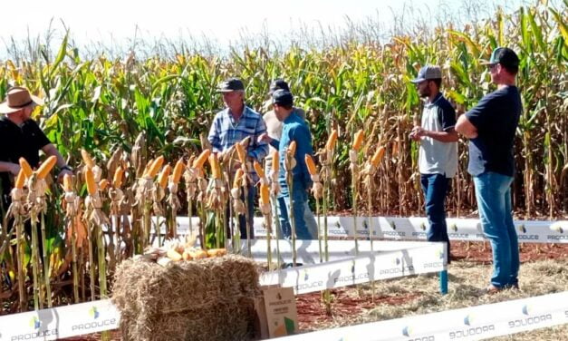 Modelo inovador de negócios encurta cadeia de vendas no campo