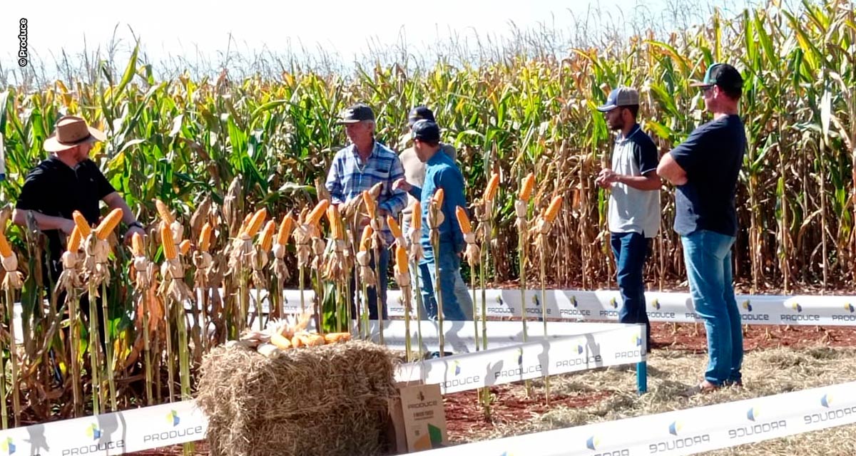 Modelo inovador de negócios encurta cadeia de vendas no campo