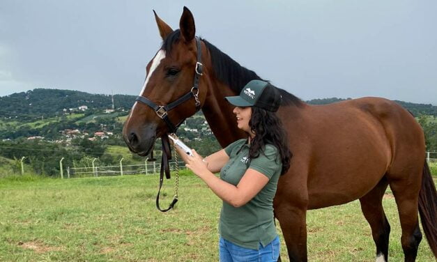 Períodos mais secos favorecem perda do escore de condição corporal em equinos