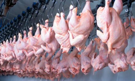 Exportação de frango brasileiro ao Catar cresce 84% em receita no 1º semestre de 2022