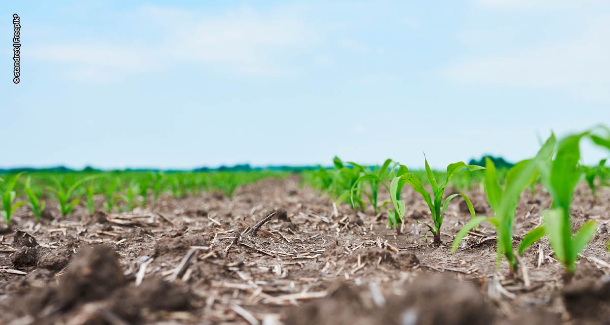 Bionat Agro apresenta nova tecnologia que promove a solubilização de fósforo no solo