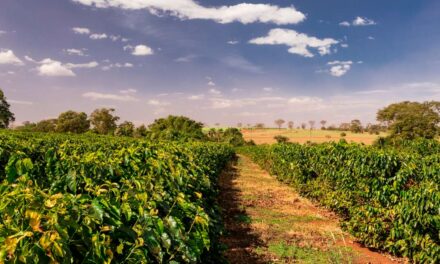 Ouro Fino recebe programação especial após Semana do Campo Limpo virar lei