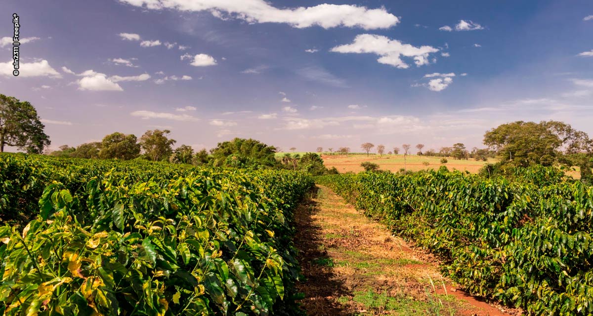 Ouro Fino recebe programação especial após Semana do Campo Limpo virar lei