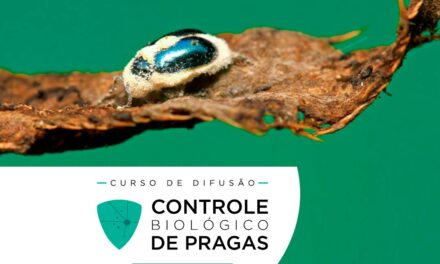 USP/ESALQ lança curso voltado ao controle biológico de pragas patrocinado pela CropLife Brasil