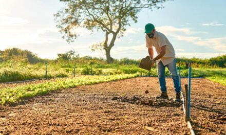 Agtech liderada por mulheres nordestinas quer ser a melhor opção de comercialização para pequenos produtores