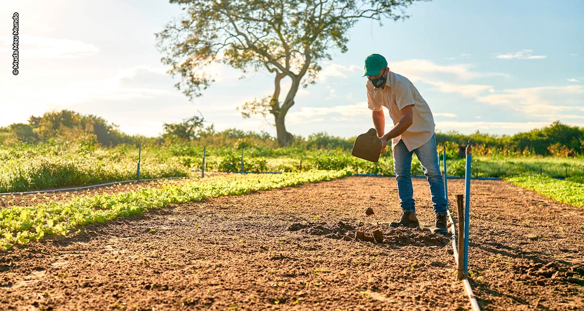 Agtech liderada por mulheres nordestinas quer ser a melhor opção de comercialização para pequenos produtores