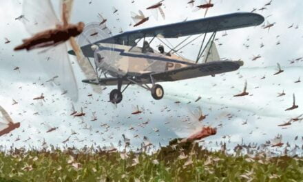 Há 75 anos nascia em Pelotas  a aviação agrícola brasileira