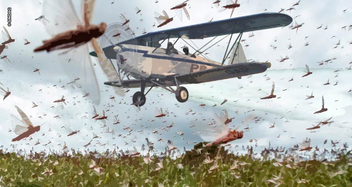 Há 75 anos nascia em Pelotas  a aviação agrícola brasileira