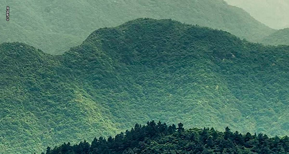 Curso online de aperfeiçoamento em Gestão e Auditoria Ambiental da UFSCar recebe inscrições