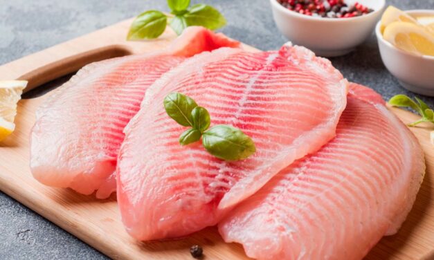 CDIAL Halal apresenta o potencial para o pescado brasileiro em um mercado de quase dois bilhões de pessoas