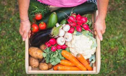 Grupo de Trabalho do Mapa propõe estratégias para o combate às perdas e ao desperdício de alimentos